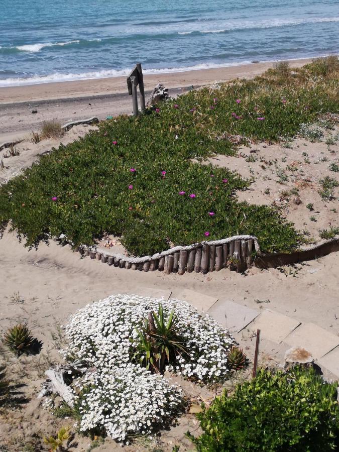 La Duna Beach Ardea Exterior photo